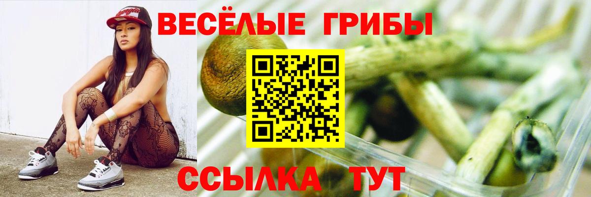 Углич  Галлюциногенные грибы ЛСД  Вход с VPN 