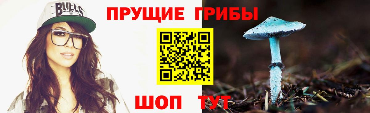Галлюциногенные грибы прущие грибы Углич